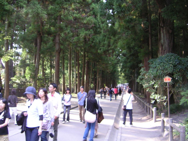 img0002.jpg