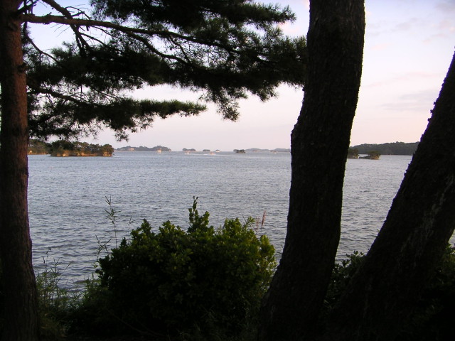 img0010.jpg