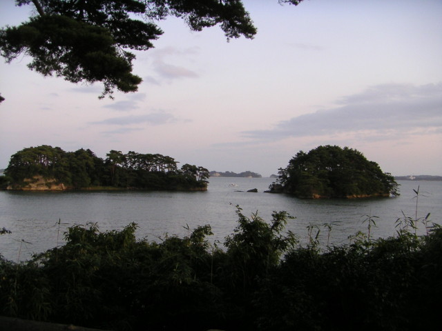 img0019.jpg