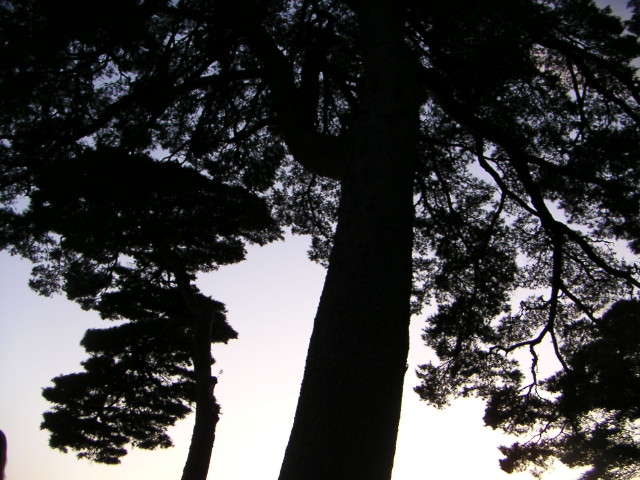 img0021.jpg