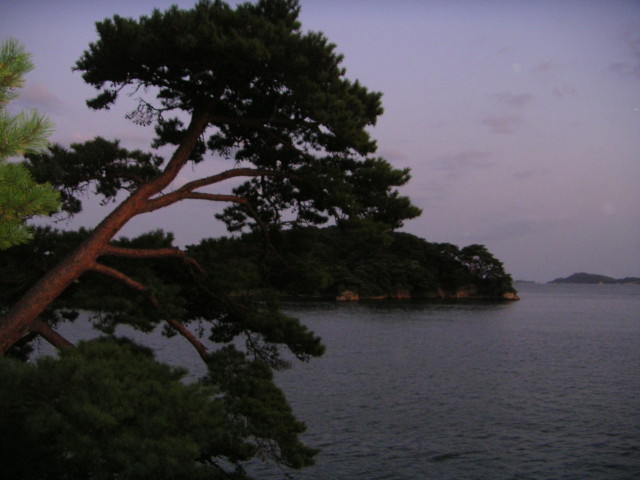 img0025.jpg
