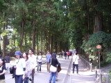 img0002.jpg