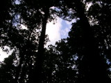 img0003.jpg
