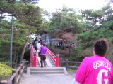 img0007.jpg
