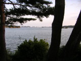 img0010.jpg