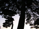 img0021.jpg